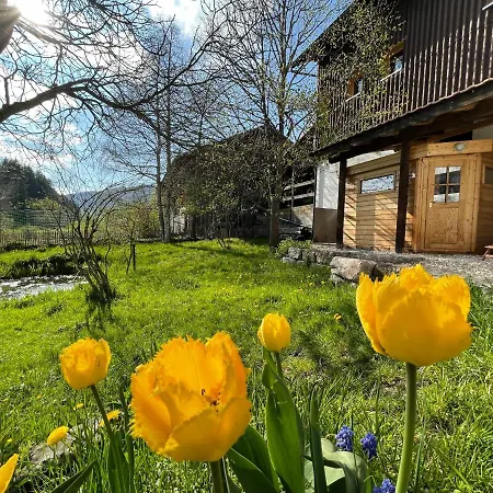 Ξενοδοχείο Miramont Horse Trekking Saicourt