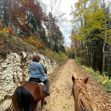 Ξενοδοχείο Miramont Horse Trekking