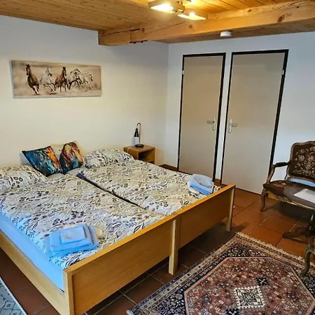 Miramont Horse Trekking * Saicourt