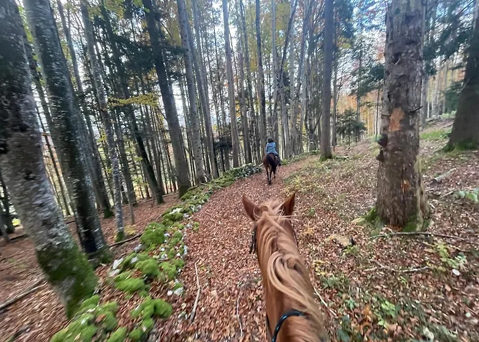 Miramont Horse Trekking *