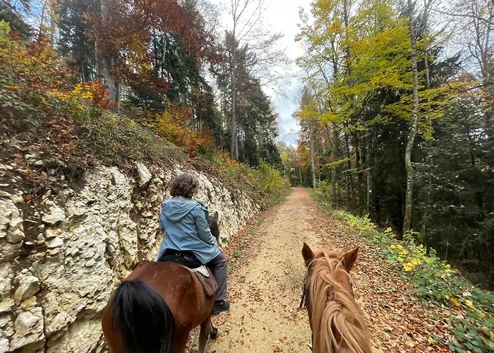 Hotel Miramont Horse Trekking