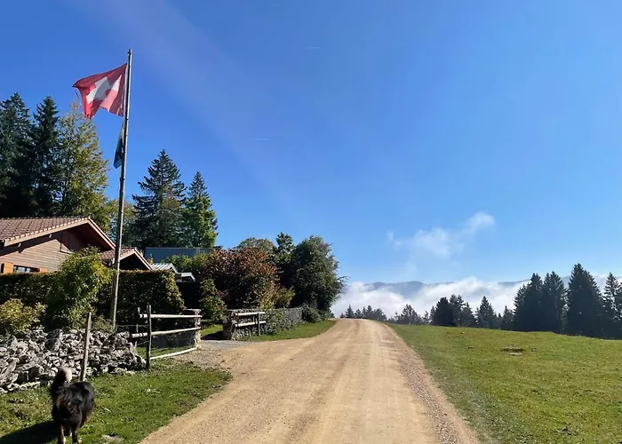 Miramont Horse Trekking * Saicourt