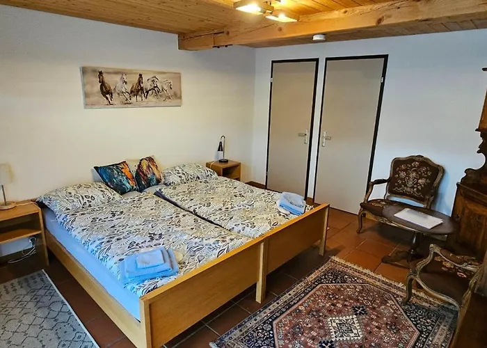 Miramont Horse Trekking * Saicourt