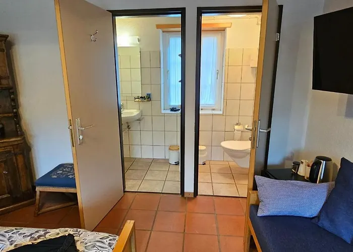 Miramont Horse Trekking * Saicourt