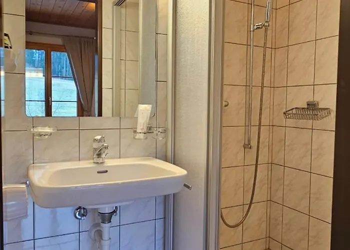 Miramont Horse Trekking Saicourt