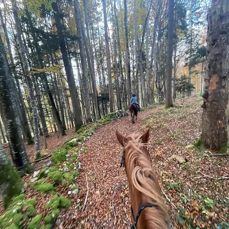 Miramont Horse Trekking *