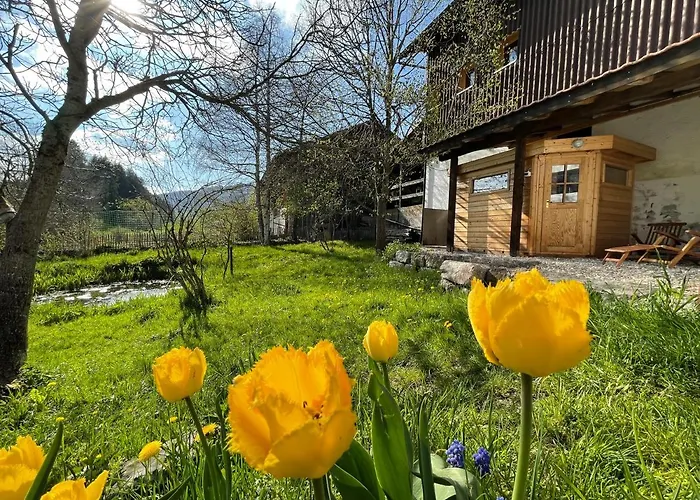 Hotel Miramont Horse Trekking Saicourt