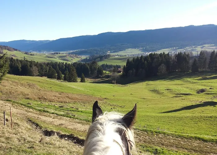 Hotel Miramont Horse Trekking *